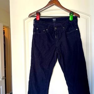 Bonobos Navy Corduroy Pants - 30/32